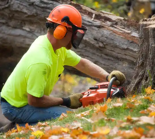 tree services Rapid City